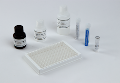 Flunixin Racing ELISA Kit